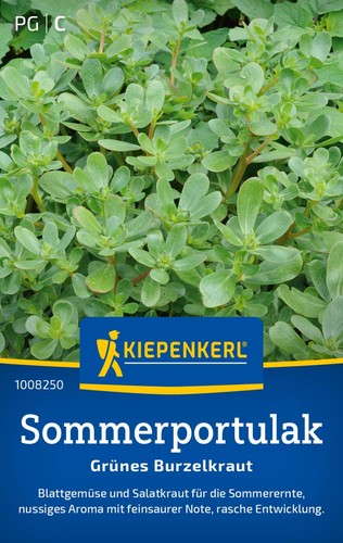 Kiepenkerl portulaksamen - kiepenkerl,