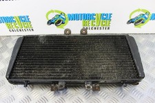 Triumph T595 Daytona Kühler