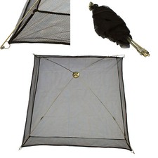 KÖDERFISCHSENKE, HOHER RAND