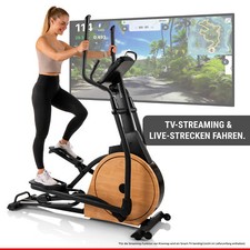 HAMMER Ellipsentrainer