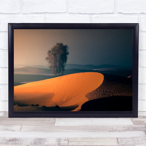 Dubai tree desert sunrise - dubai,