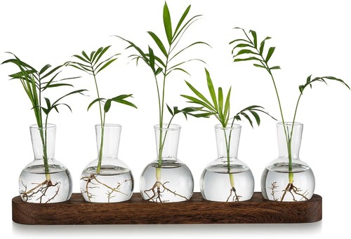 Glas pflanzen terrarium vase - glas,