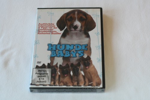 Hunde babys - hunde,