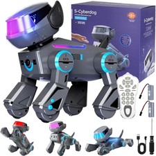 RC Roboter Hund Kinder