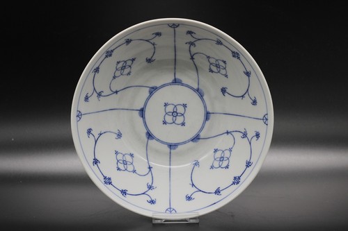 Winterling indisch blau - winterling,
