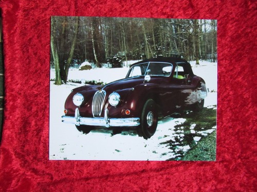 Blechschild jaguar x - cm,
