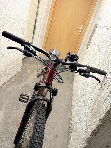 Bulls wildtail disc27 - 1, disc27,5