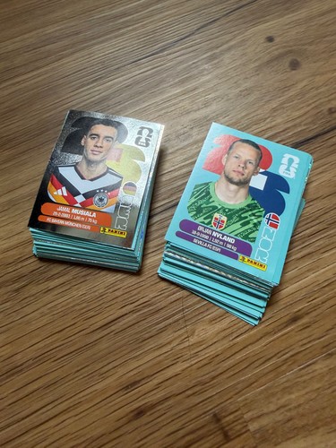 Panini sticker 2026 - panini,
