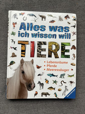 Kinderbuch Buch "Alles was ich