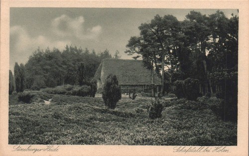 Lüneburger heide - ak,