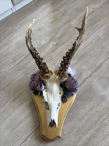 Geweih rehbock handmade unikat - rehbock,