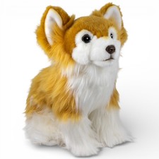 Carl Dick Chihuahua sitzend