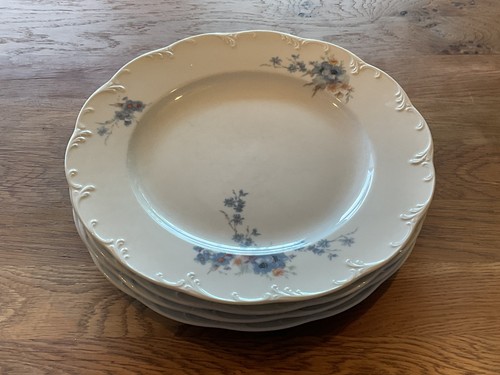 Speiseteller rosenthal - speiseteller,