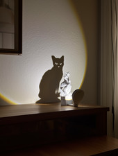 Schattenlampe, Nachtlicht