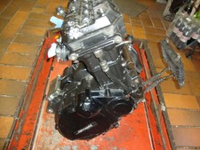 ZX10 Tomcat Motor ZX10 Motor