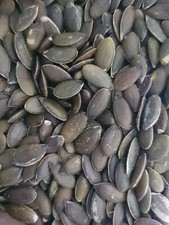 Premium Bio Kürbiskerne für