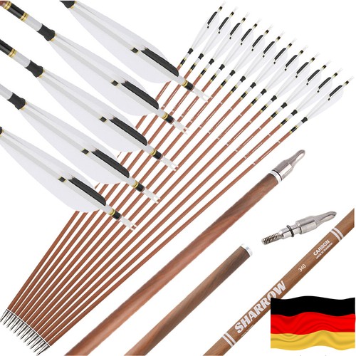12x carbonpfeile sp340 600 - 12x, sp340-600