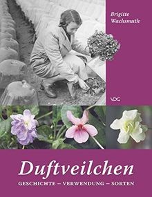 Duftveilchen geschichte - geschichte, –