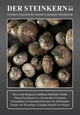 DER STEINKERN 64: Bergisch