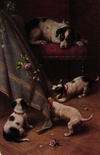 Hund, Hunde ziehen eine Tischdecke vom Tisch, um 1910/20