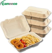 50x 9x6" Bagasse Essensboxen