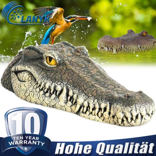 Schwimmende krokodil kopf - krokodil,