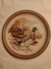 Wandteller Sammlerteller