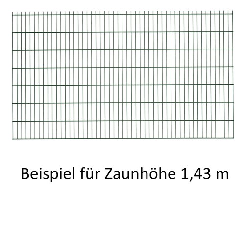 Doppelstabmattenzaun 868