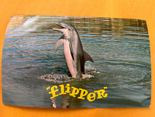 Vintage Postcard Flipper