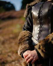 Armstulpen Fell Deutsche