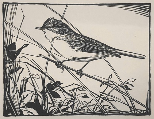 Peter scott - peter, (1909–1989)