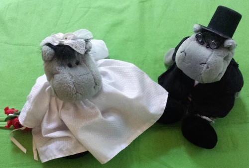 Happy hippo hochzeitspaar - happy,