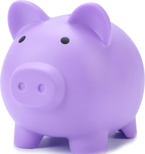 Mini-Sparschwein