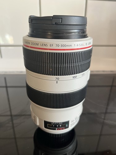 Canon 300mm 5 6 l - canon, 70-300mm