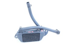 BMW R 1200 CL C CRUISER K30   Ölkühler Kühler rechts  40