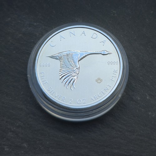 Canadian goose 2oz 9999 - canadian,