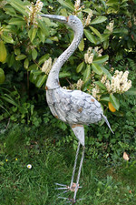 Fischreiher hochwertige