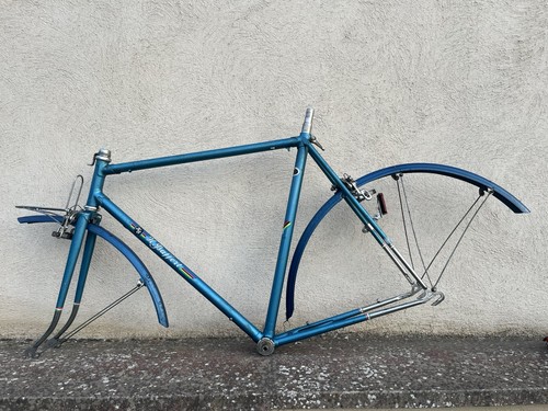 Frameset cesare rizzato - cesare,