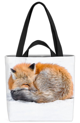 Japan fuchs schnee winter - japan,