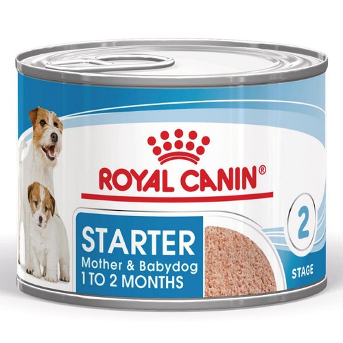 Royal canin starter - canin, mousse