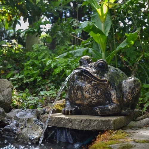 Bullenfrosch brunnen - brunnen, /