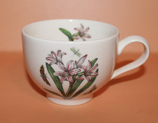 Portmeirion - Botanischer