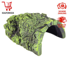 Fisch Verstecken Höhle