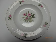 6 Porzellanteller Speiseteller