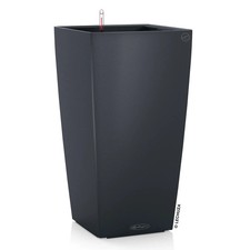 Lechuza 'Cubico Color 22'