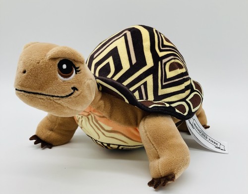 Schildkröte henrietta penny - henrietta,