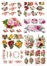 Abziehbild 54 Rosen auf A4