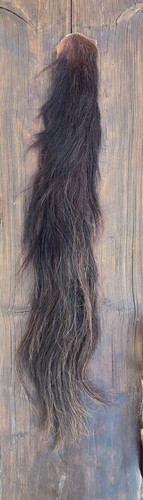 Pferdeschweif pferdeschwanz - ,
