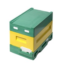 Ableger 12er mini - 12er,