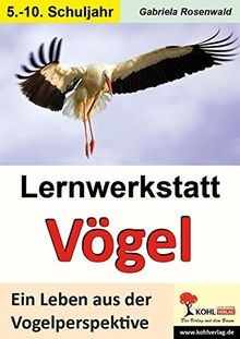 Lernwerkstatt vögel ein - vögel, leben